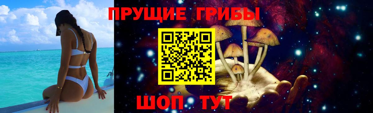 Галлюциногенные грибы Magic Shrooms Сухой Лог